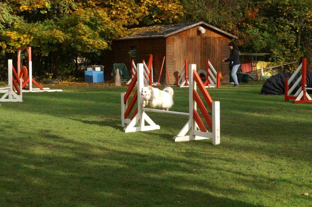 agility 2011-10-30